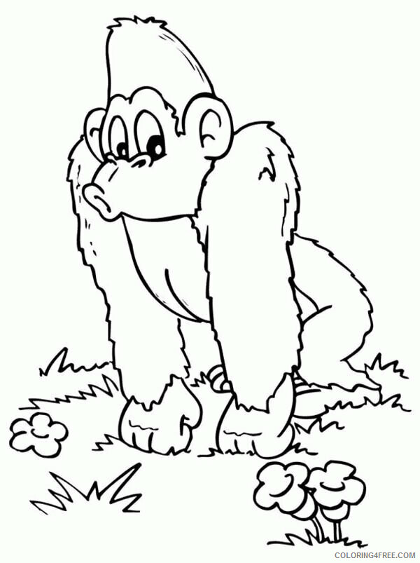 Gorilla Coloring Sheets Animal Coloring Pages Printable 2021 2137 Coloring4free