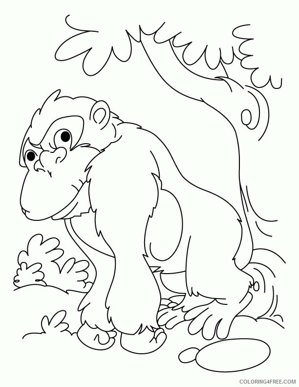 Gorilla Coloring Sheets Animal Coloring Pages Printable 2021 2149 Coloring4free
