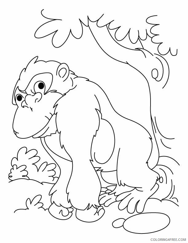 Gorilla Coloring Sheets Animal Coloring Pages Printable 2021 2151 Coloring4free