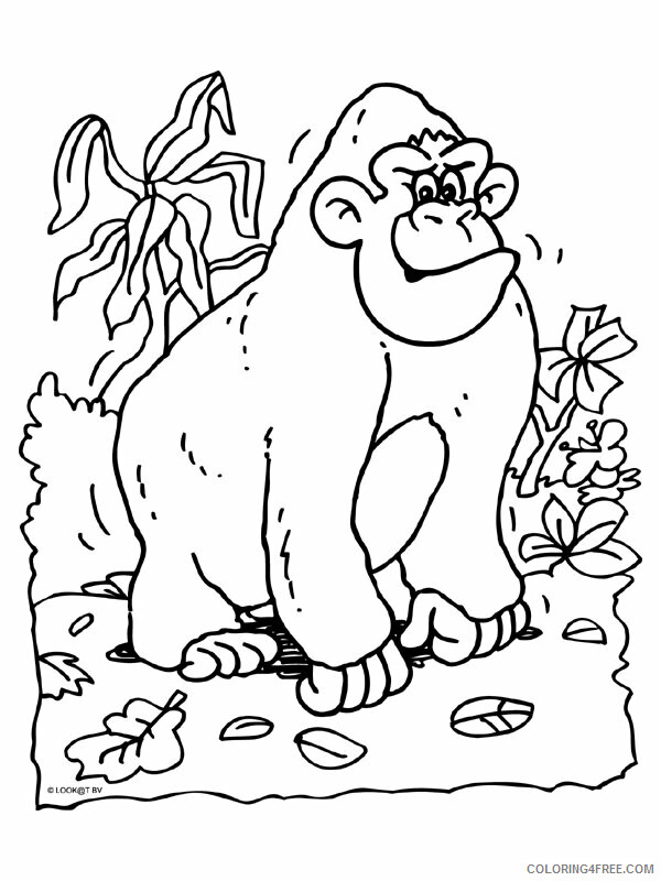 Gorilla Coloring Sheets Animal Coloring Pages Printable 2021 2153 Coloring4free