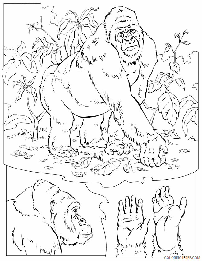 Gorilla Coloring Sheets Animal Coloring Pages Printable 2021 2154 Coloring4free