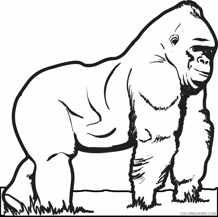 Gorilla Coloring Sheets Animal Coloring Pages Printable 2021 2157 Coloring4free