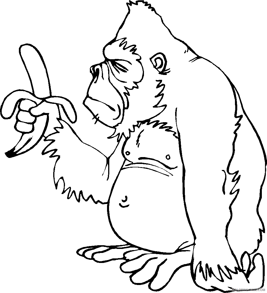 Gorilla Coloring Sheets Animal Coloring Pages Printable 2021 2168 Coloring4free