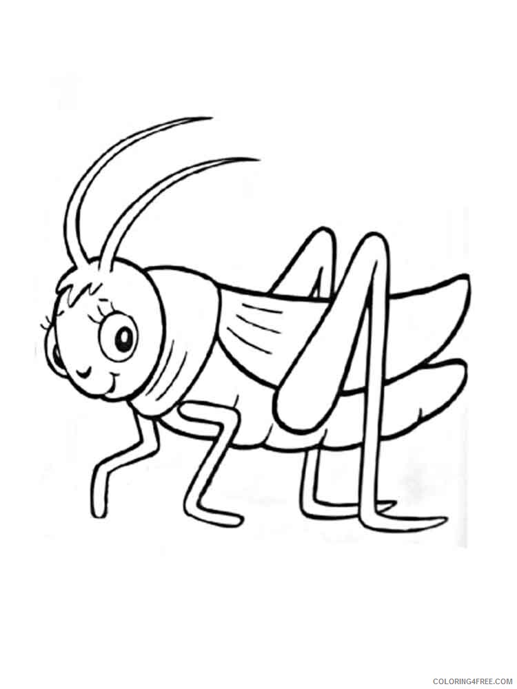 Grasshopper Coloring Pages Animal Printable Sheets Grasshopper 10 2021 2515 Coloring4free