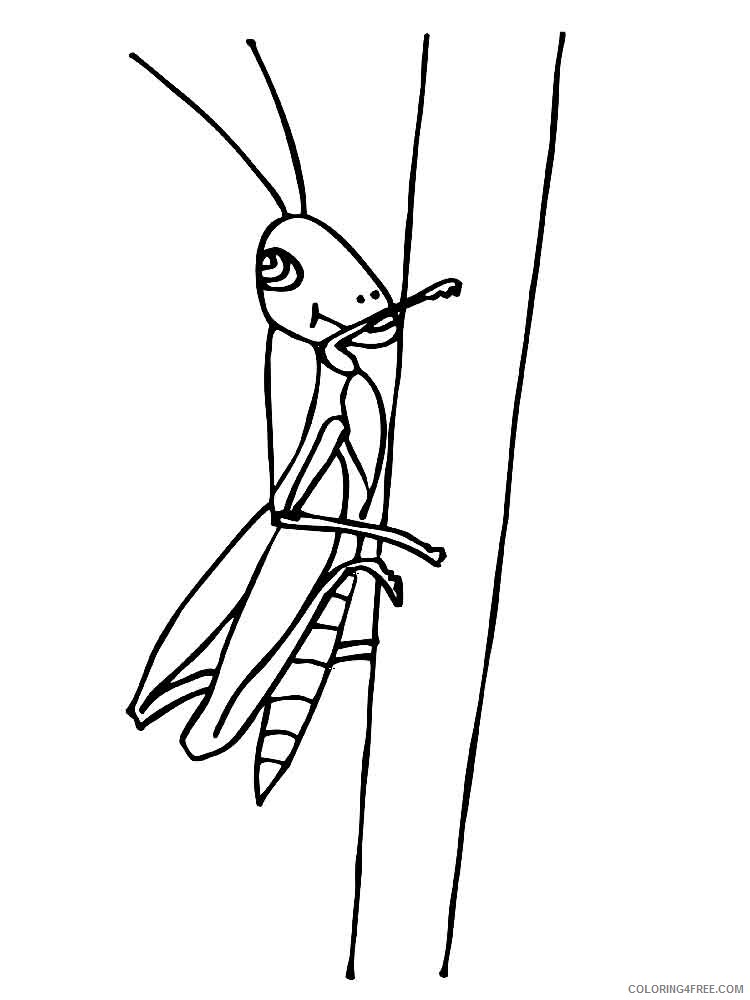 Grasshopper Coloring Pages Animal Printable Sheets Grasshopper 3 2021 2518 Coloring4free