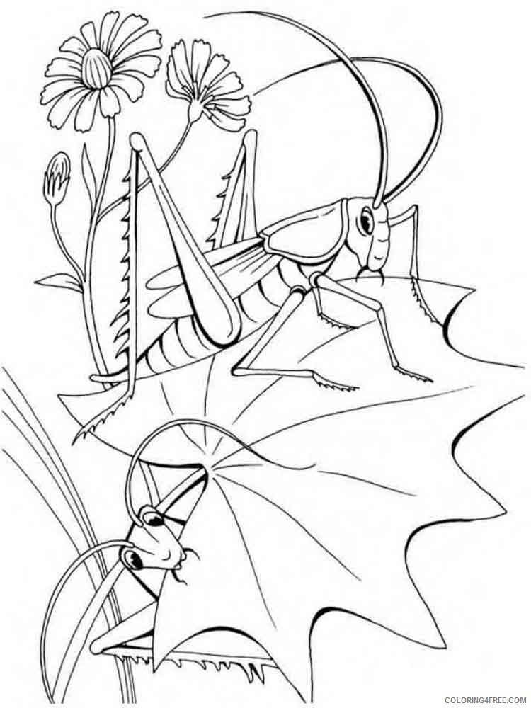 Grasshopper Coloring Pages Animal Printable Sheets Grasshopper 4 2021 2519 Coloring4free