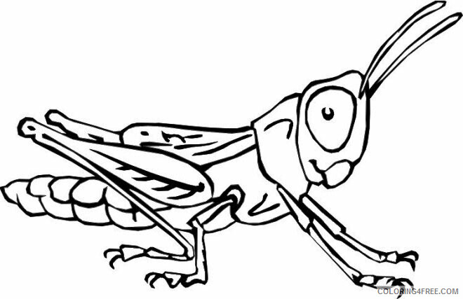 Grasshopper Coloring Pages Animal Printable Sheets Grasshopper Insect 2021 2524 Coloring4free