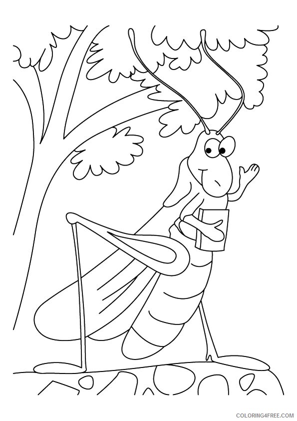 Grasshopper Coloring Pages Animal Printable Sheets animated grasshopper 2021 Coloring4free