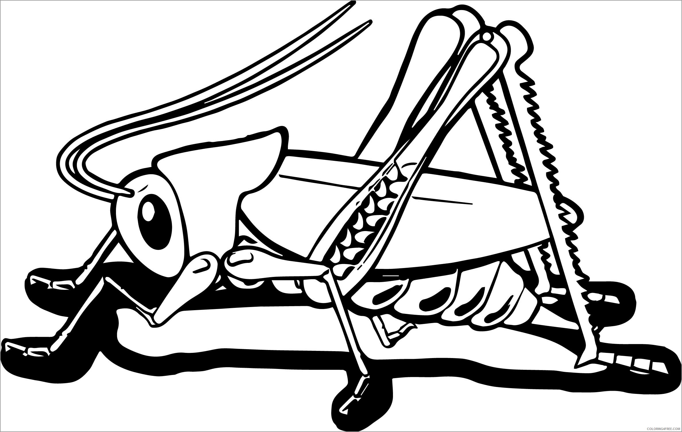 Grasshopper Coloring Pages Animal Printable Sheets grasshopper insect 2021 2525 Coloring4free