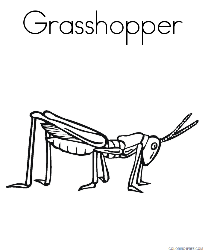 Grasshopper Coloring Sheets Animal Coloring Pages Printable 2021 2171 Coloring4free