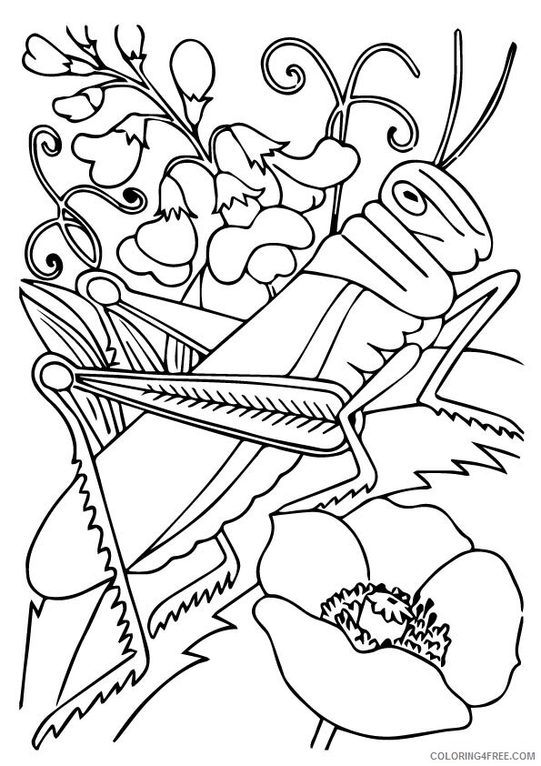 Grasshopper Coloring Sheets Animal Coloring Pages Printable 2021 2173 Coloring4free