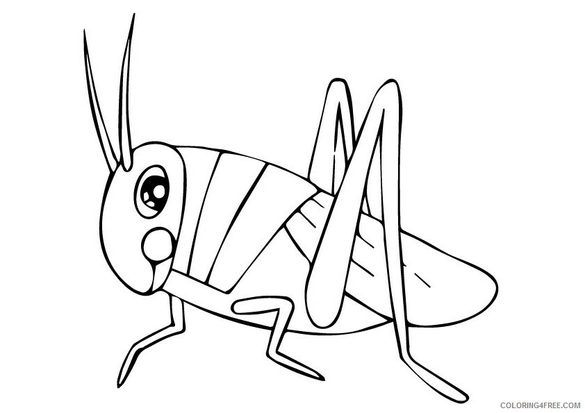 Grasshopper Coloring Sheets Animal Coloring Pages Printable 2021 2181 Coloring4free