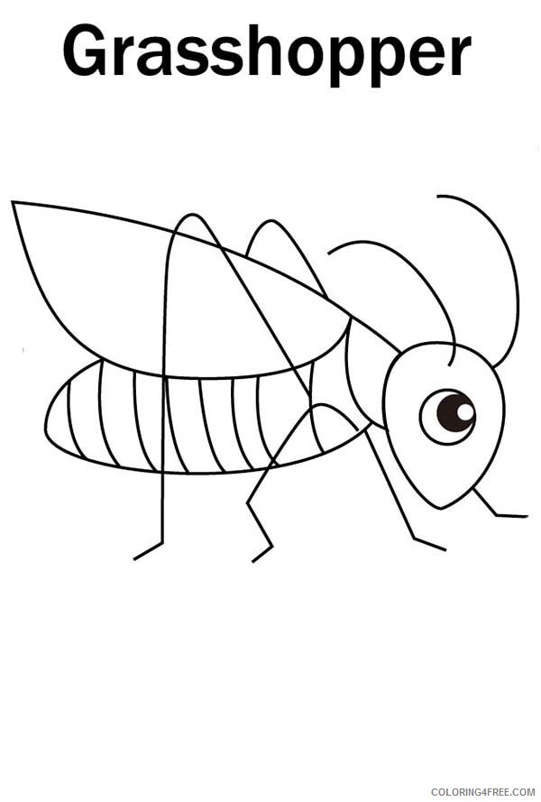 Grasshopper Coloring Sheets Animal Coloring Pages Printable 2021 2182 Coloring4free