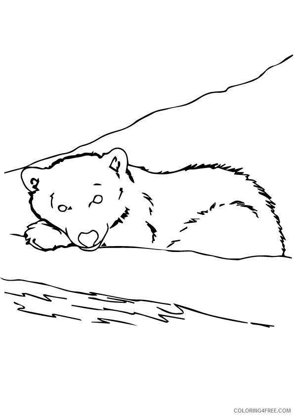 Grizzly Bear Coloring Sheets Animal Coloring Pages Printable 2021 2187 Coloring4free