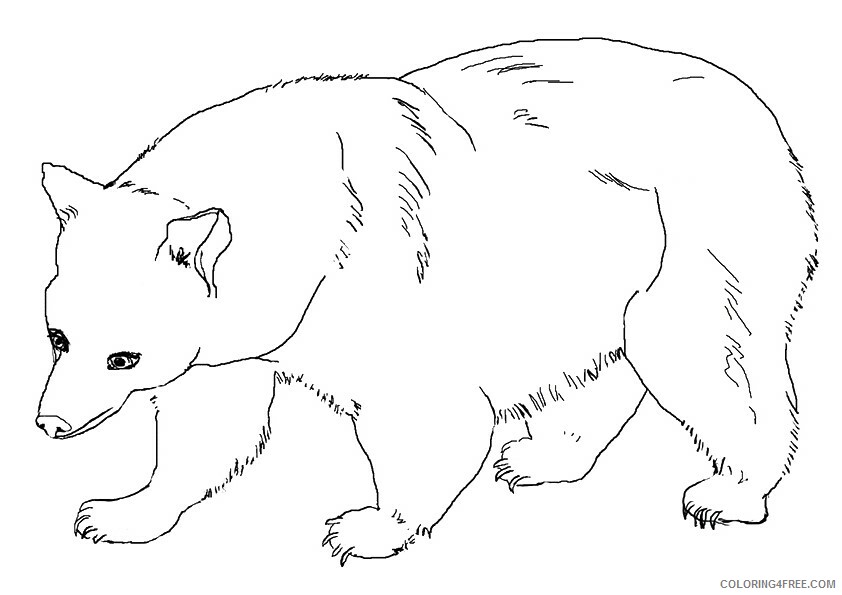 Grizzly Bear Coloring Sheets Animal Coloring Pages Printable 2021 2202 Coloring4free