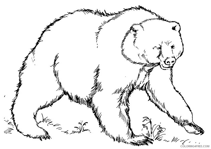 Grizzly Bear Coloring Sheets Animal Coloring Pages Printable 2021 2205 Coloring4free