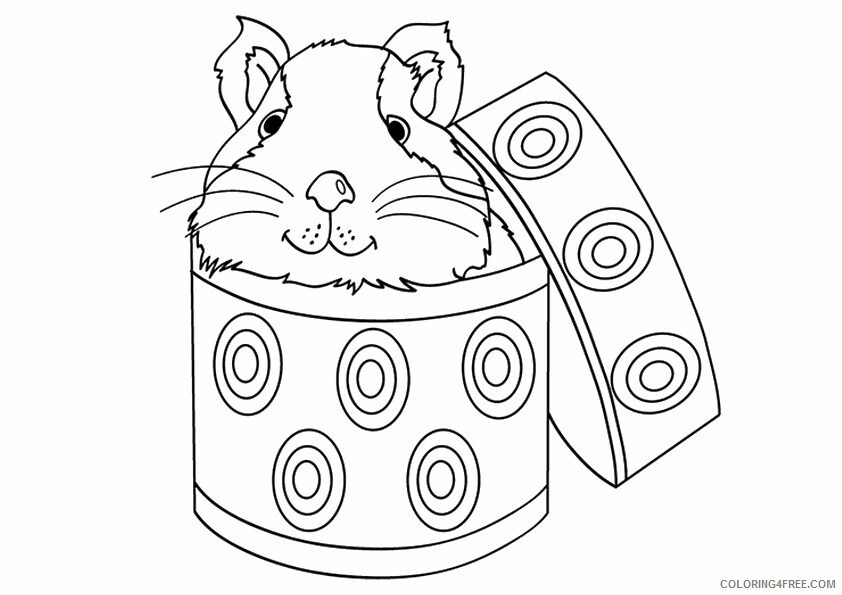 Guinea Pig Coloring Pages Animal Printable Sheets Cute Guinea Pig 2021 2536 Coloring4free