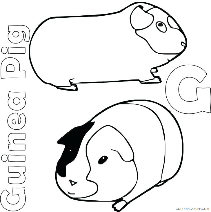 Guinea Pig Coloring Pages Animal Printable Sheets G for Guinea Pig 2021 2537 Coloring4free