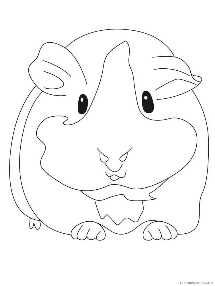 Guinea Pig Coloring Pages Animal Printable Sheets Guinea Pig 5 2021 2539 Coloring4free