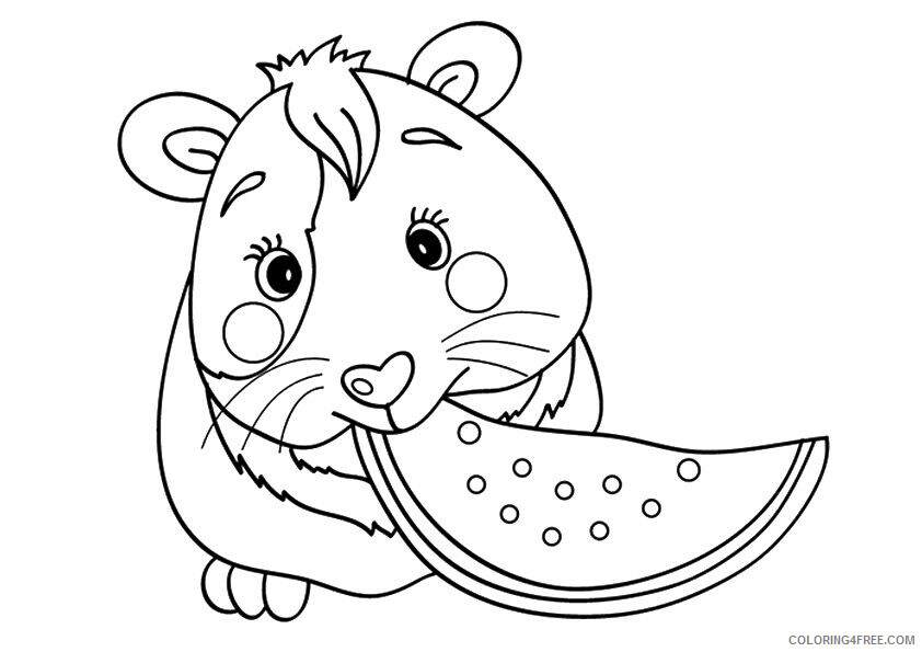 Guinea Pig Coloring Pages Animal Printable Sheets Guinea Pig Eating 2021 2541 Coloring4free