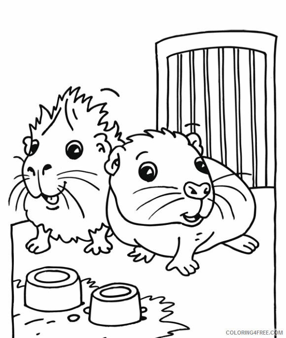 Guinea Pig Coloring Pages Animal Printable Sheets Guinea Pigs 2021 2543 Coloring4free