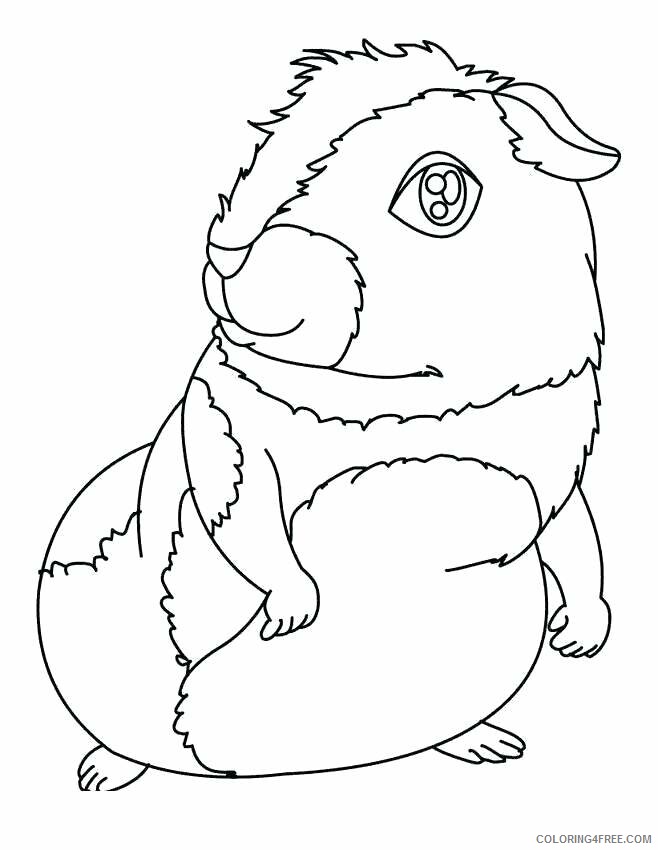 Guinea Pig Coloring Pages Animal Printable Sheets Printable Guinea Pig 2021 2545 Coloring4free