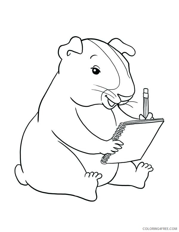 Guinea Pig Coloring Pages Animal Printable Sheets Smart Guinea Pig 2021 2548 Coloring4free