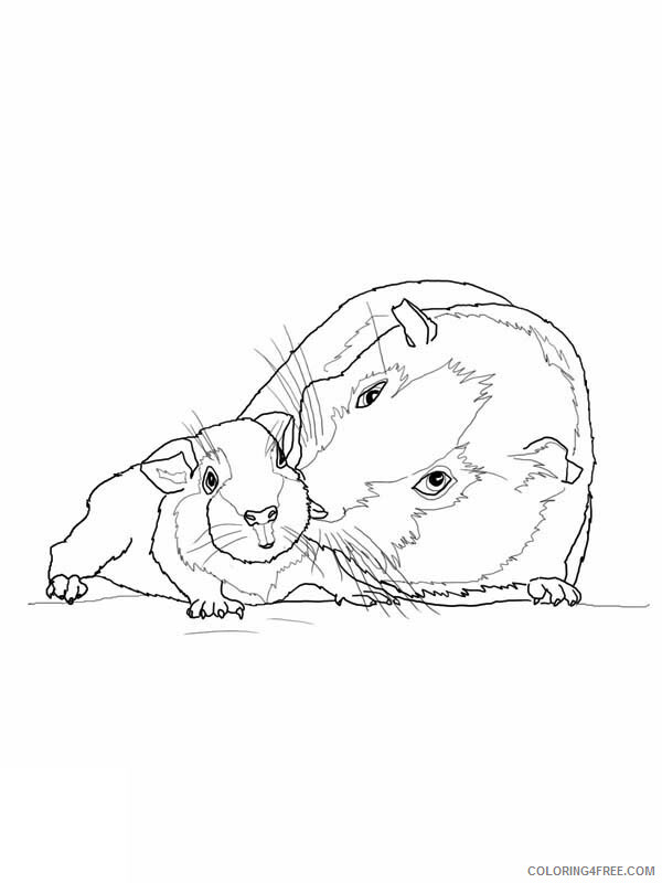 Guinea Pig Coloring Sheets Animal Coloring Pages Printable 2021 2219 Coloring4free