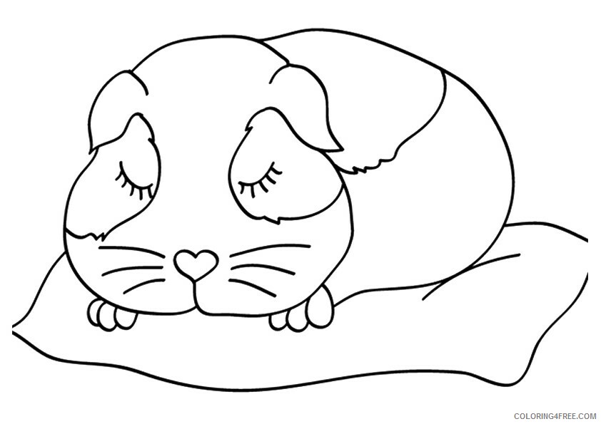 Guinea Pig Coloring Sheets Animal Coloring Pages Printable 2021 2224 Coloring4free