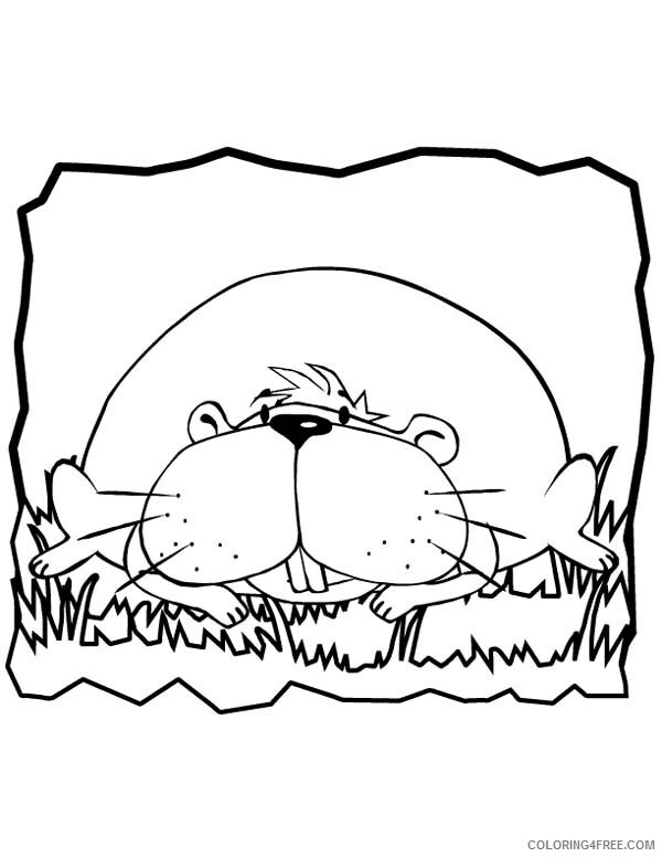 Guinea Pig Coloring Sheets Animal Coloring Pages Printable 2021 2225 Coloring4free