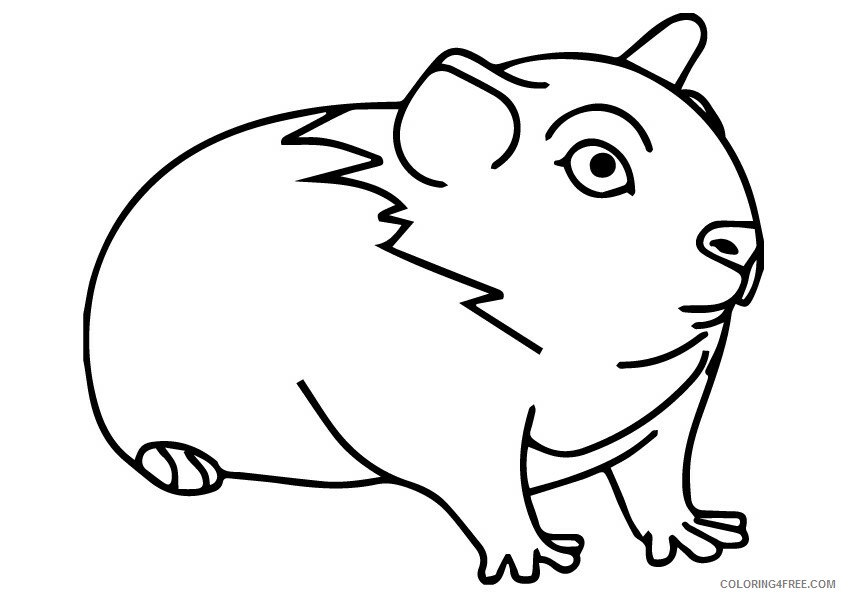 Guinea Pig Coloring Sheets Animal Coloring Pages Printable 2021 2227 Coloring4free