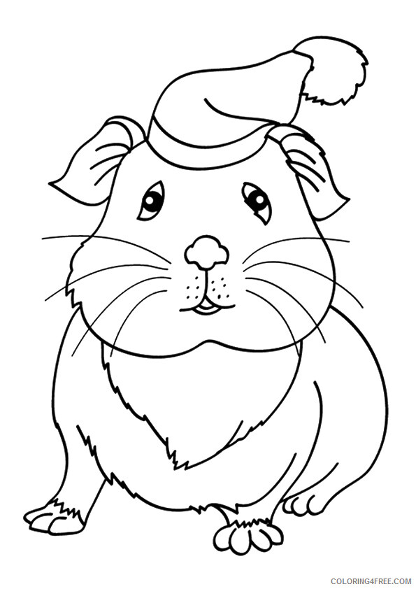 Guinea Pig Coloring Sheets Animal Coloring Pages Printable 2021 2228 Coloring4free