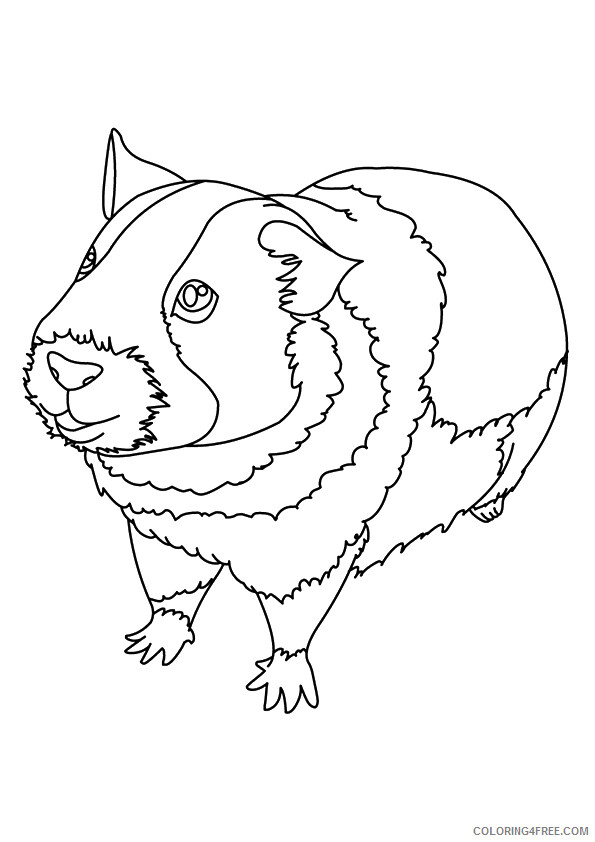 Guinea Pig Coloring Sheets Animal Coloring Pages Printable 2021 2229 Coloring4free