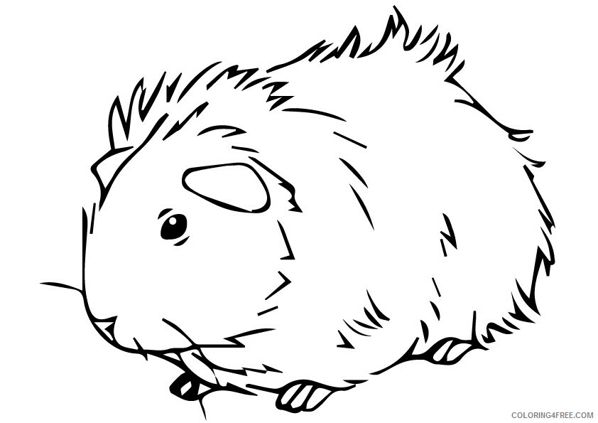 Guinea Pig Coloring Sheets Animal Coloring Pages Printable 2021 2230 Coloring4free