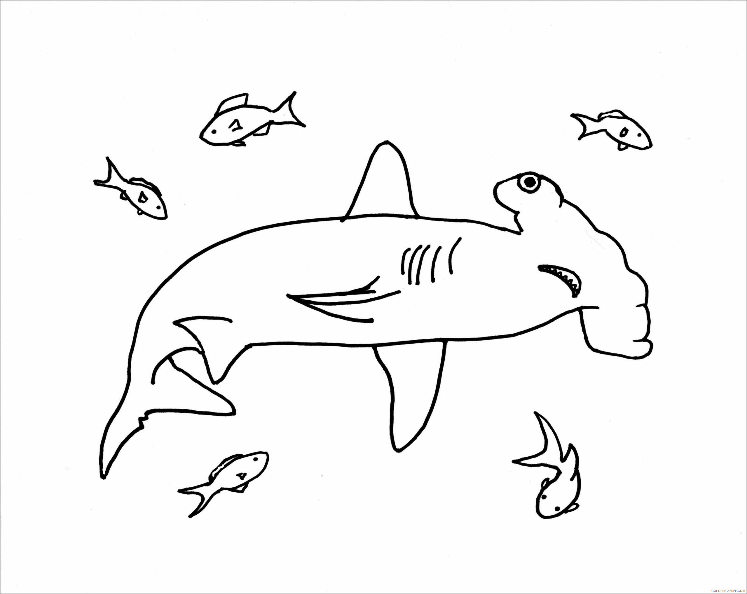 Hammerhead Shark Coloring Pages Animal Printable Sheets 2021 2552 Coloring4free