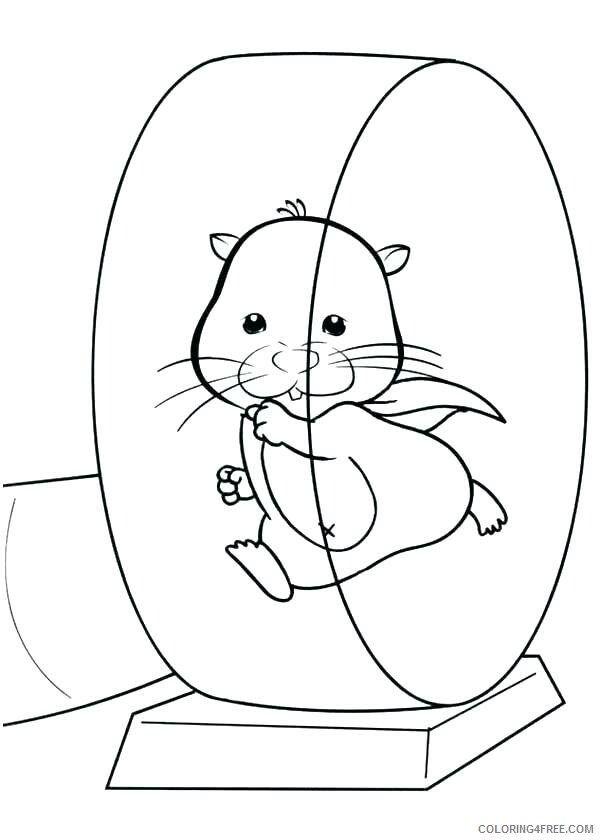 Hamster Coloring Pages Animal Printable Sheets Hamster Wheel 2021 2577 Coloring4free