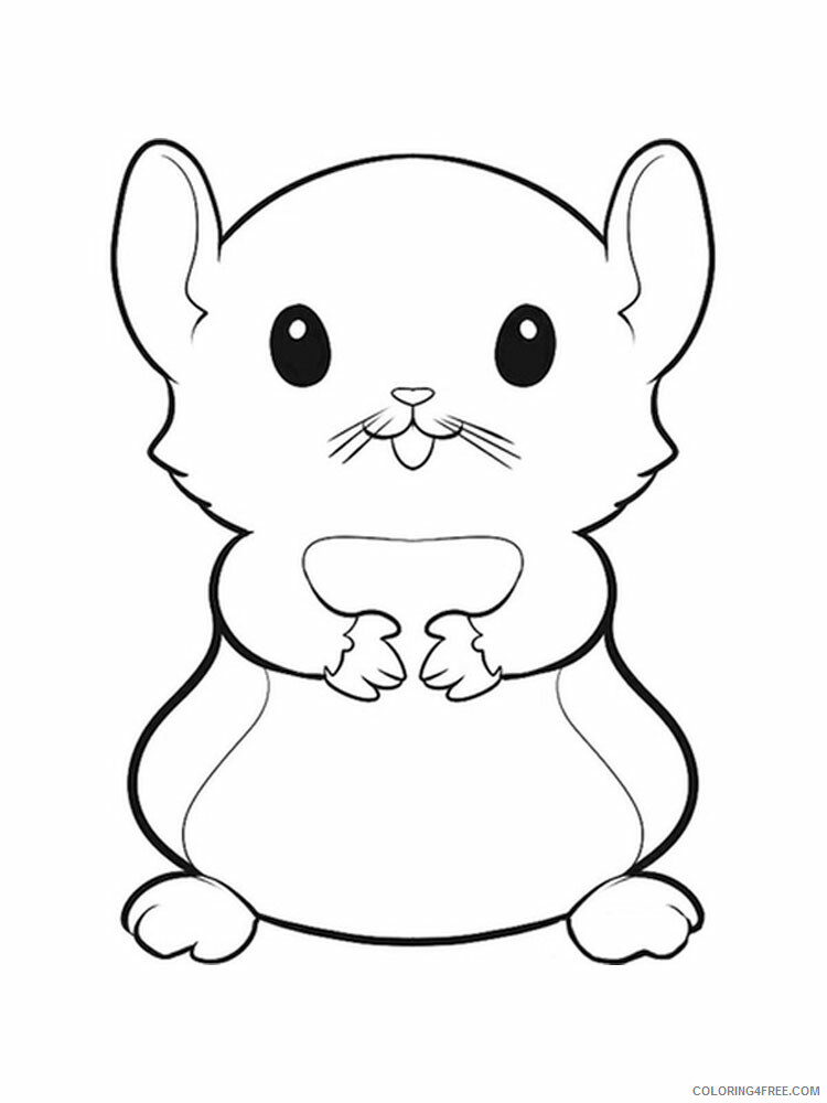 Hamster Coloring Pages Animal Printable Sheets Hamster animal 336 2021 2567 Coloring4free
