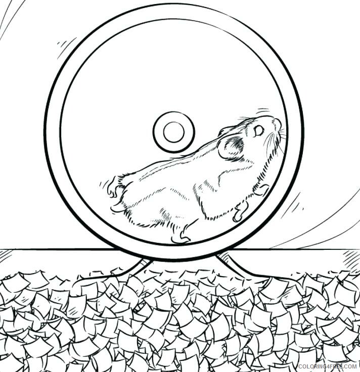Hamster Coloring Pages Animal Printable Sheets Hamster on a Wheel 2021 2576 Coloring4free