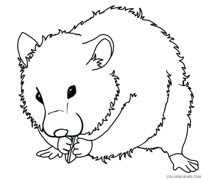 Hamster Coloring Pages Animal Printable Sheets Printable Hamster 2021 2584 Coloring4free