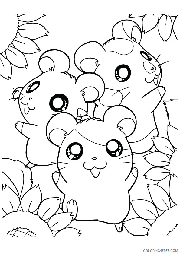 Hamster Coloring Sheets Animal Coloring Pages Printable 2021 2238 Coloring4free