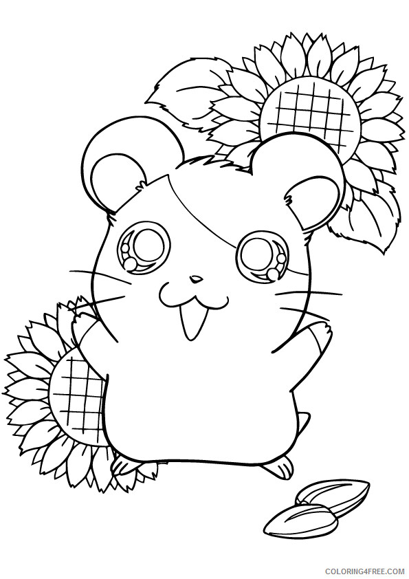 Hamster Coloring Sheets Animal Coloring Pages Printable 2021 2241 ...