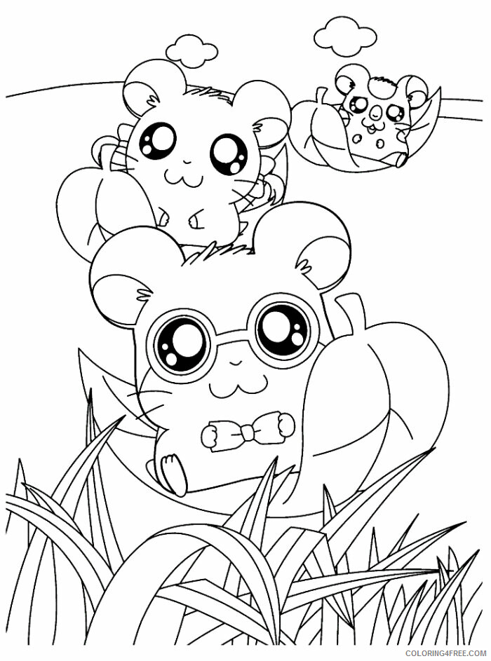 Hamster Coloring Sheets Animal Coloring Pages Printable 2021 2242 Coloring4free