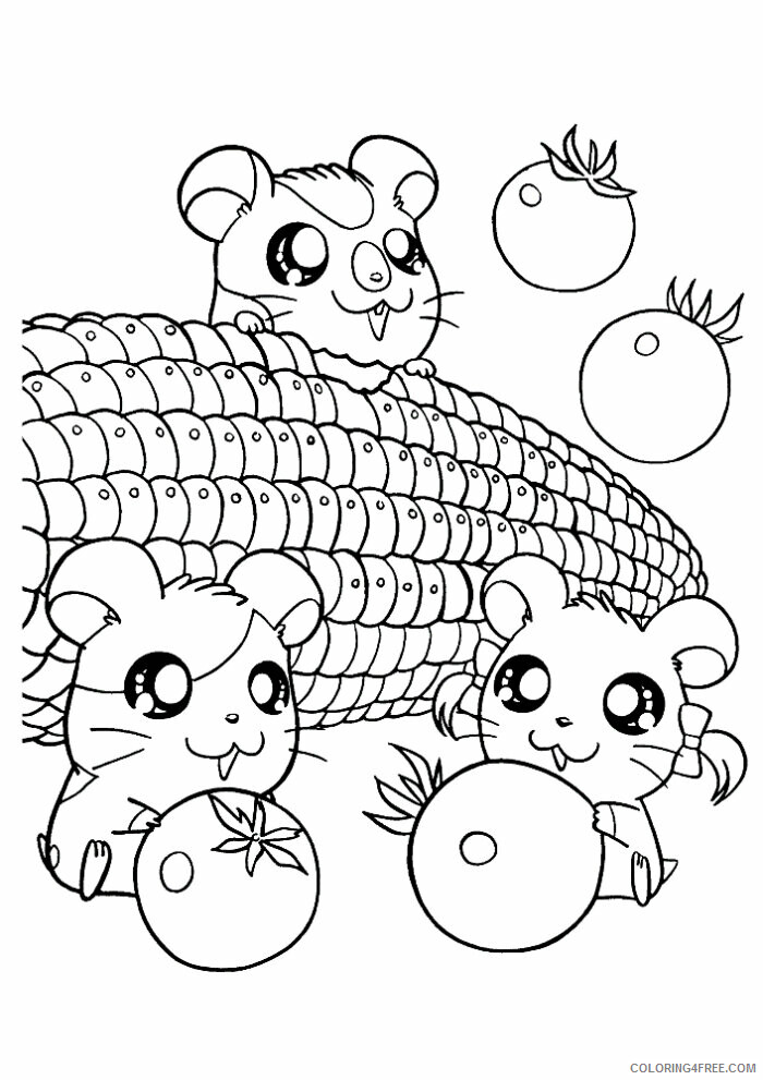 Hamster Coloring Sheets Animal Coloring Pages Printable 2021 2243 Coloring4free