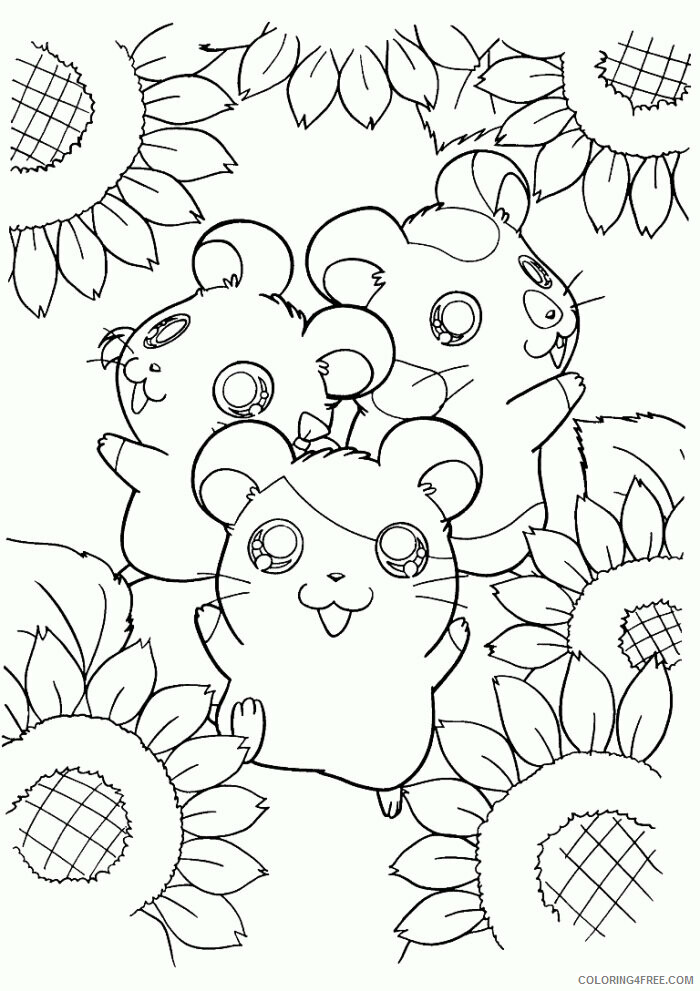 Hamster Coloring Sheets Animal Coloring Pages Printable 2021 2244 Coloring4free