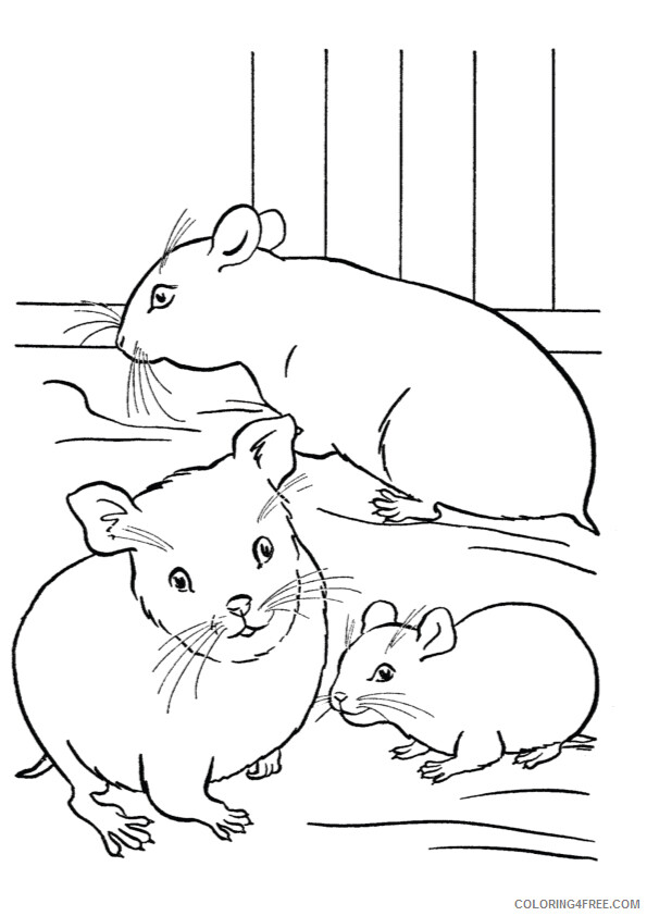 Hamster Coloring Sheets Animal Coloring Pages Printable 2021 2245 Coloring4free