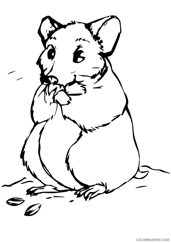 Hamster Coloring Sheets Animal Coloring Pages Printable 2021 2247 Coloring4free