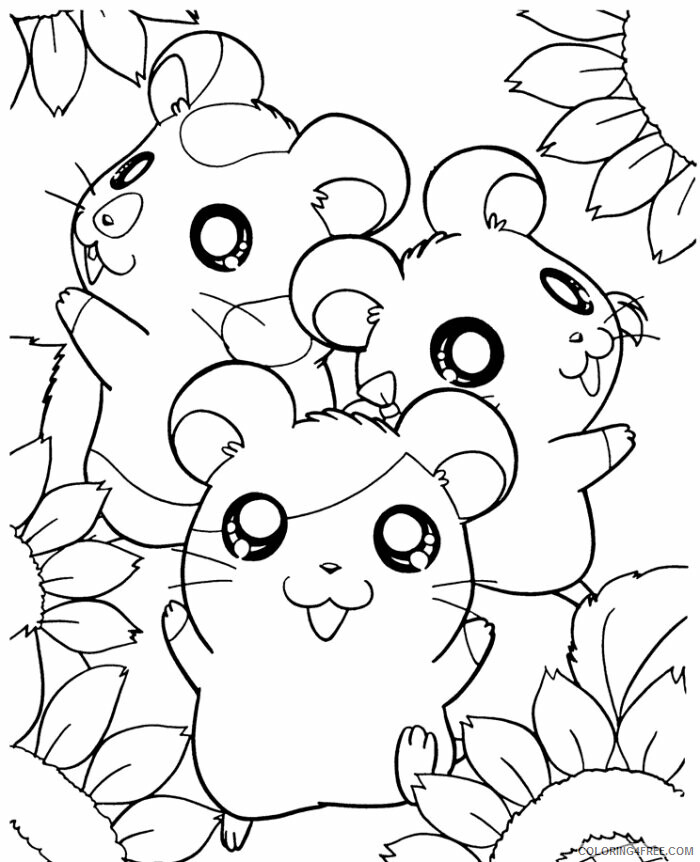 Hamster Coloring Sheets Animal Coloring Pages Printable 2021 2249 Coloring4free