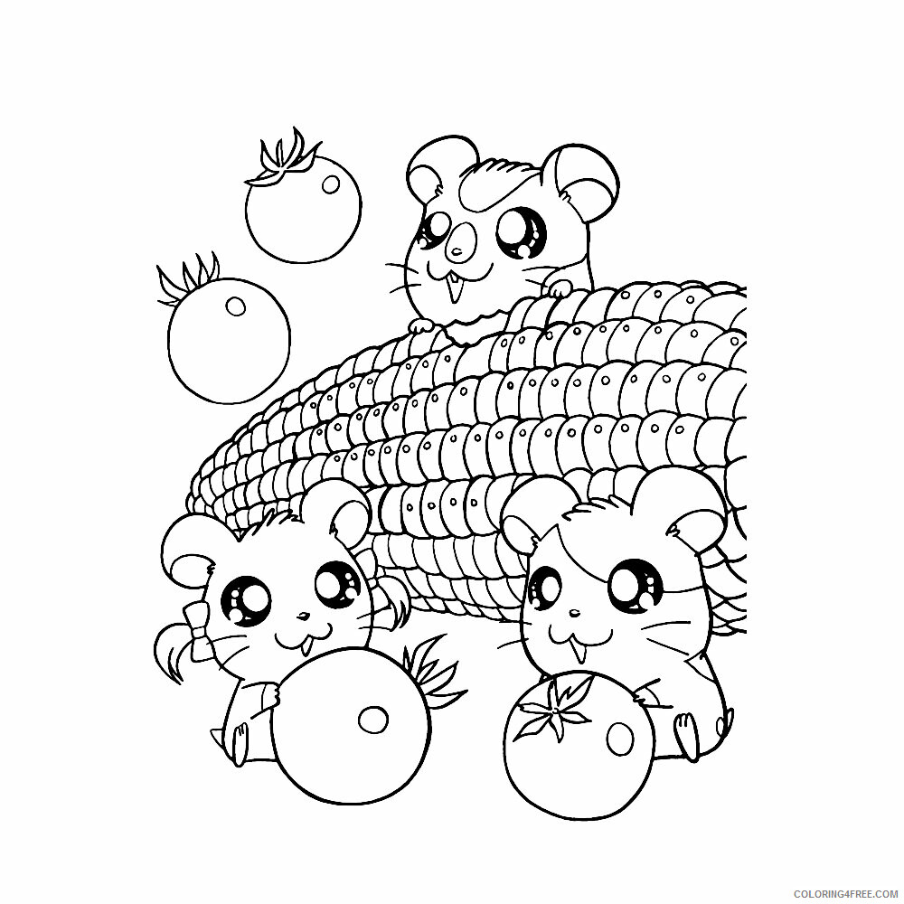 Hamster Coloring Sheets Animal Coloring Pages Printable 2021 2256 Coloring4free