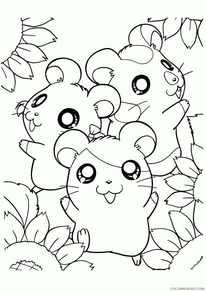 Hamster Coloring Sheets Animal Coloring Pages Printable 2021 2257 Coloring4free