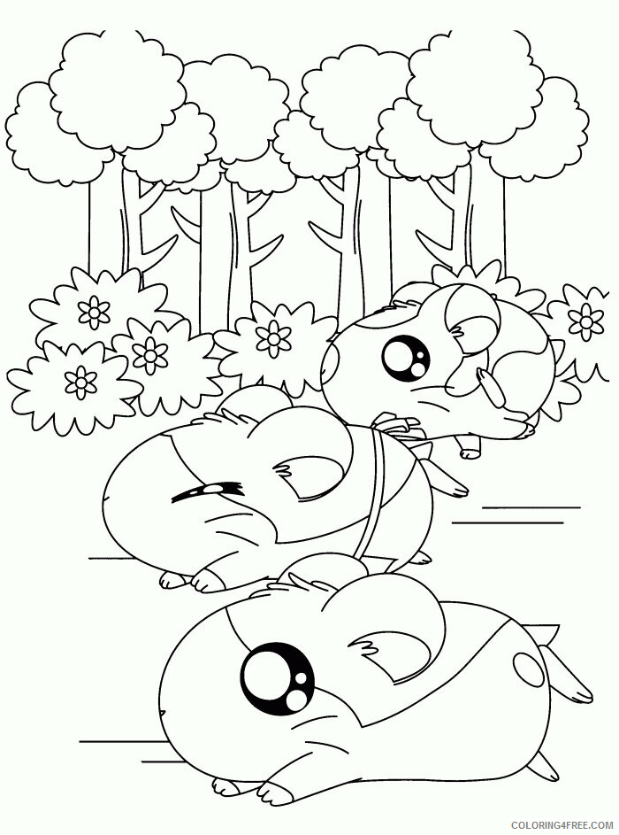 Hamster Coloring Sheets Animal Coloring Pages Printable 2021 2258 Coloring4free